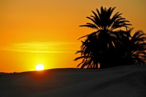 Tunisia-3749 - Here comes the sun.....
